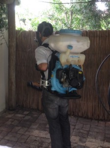 dengue-muggensbestrijding-224x300