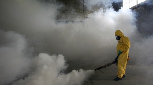 Dengue_ANP-5244261-e1458313186916